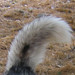 Shannon Weis Photo 9