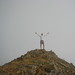 Jason Harp Photo 10