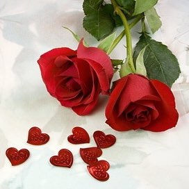Mohammad Zarif Photo 22