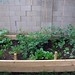 Heather Parsley Photo 14