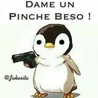 Juanito Campos Photo 8