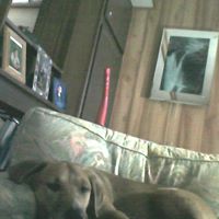 Sadie Larson Photo 4