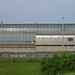 Allen Erickson Photo 28