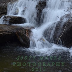 Scott Mayes Photo 8