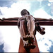Jesus Christ Photo 23