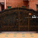 Xin He Photo 22