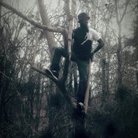 Daniel Springfield Photo 5