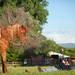 Jessica Boles Photo 18