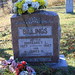 Charles Billings Photo 16
