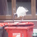 Christopher Weekes Photo 15