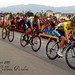 Ned Armstrong Photo 21