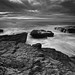 Richard Davenport Photo 13