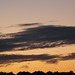 Dawn Sheffield Photo 7