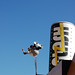 Victor Gomes Photo 38