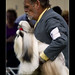 Don Rodger Photo 8