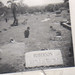 Susan Roberson Photo 10