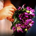 Guilherme Ferraz Photo 17