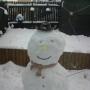 Robert Patchett Photo 15