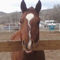 Judy Madsen Photo 17