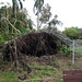 Katrina Root Photo 3