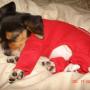 Christy Rogers Photo 20