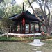 Nan Lin Photo 21