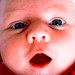 Holly Weeks Photo 18