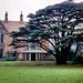 Phyllis Groves Photo 9
