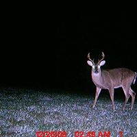 Dennis Dozier Photo 11