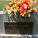 Charles Mcdaniel Photo 23