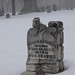 Noma Johnson Photo 5