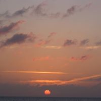 Dawn Sheridan Photo 13