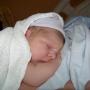 Constance Reynolds Photo 19