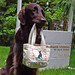 Wendy Macdonald Photo 21