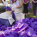 Debbie Carlson Photo 6