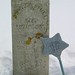 Charles Banks Photo 9