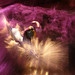Stephen Botts Photo 10