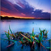 Lon Andrews Photo 10