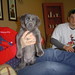 Rex Perry Photo 12