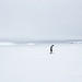 Mark Dow Photo 20