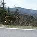 Nancy Mcdowell Photo 36