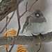 Crystal Mayfield Photo 14