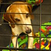 Kathy Walker Photo 14