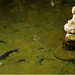 Robert Tolle Photo 15