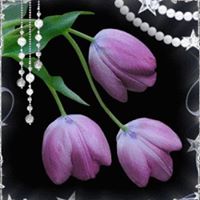 Anna Molina Photo 23