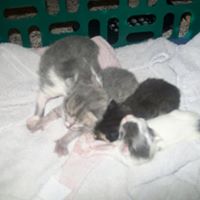 Danny Snider Photo 14