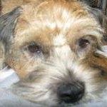 Suzanne Littler Photo 11