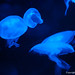 Stephen Handley Photo 11