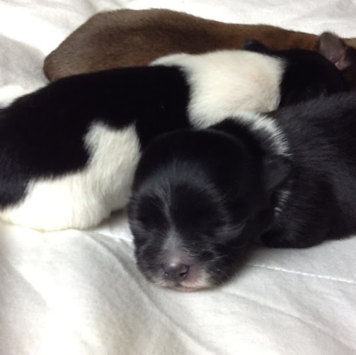 Sally Melton Photo 7
