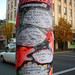 Robin Cushing Photo 10